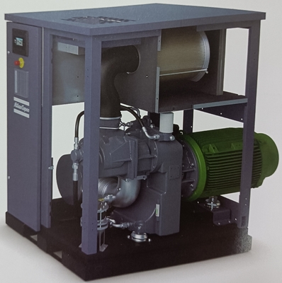 ZS Compressore d'aria a vite Atlas senza olio ISO 8573-1 Classe 0 Certificato per processi critici